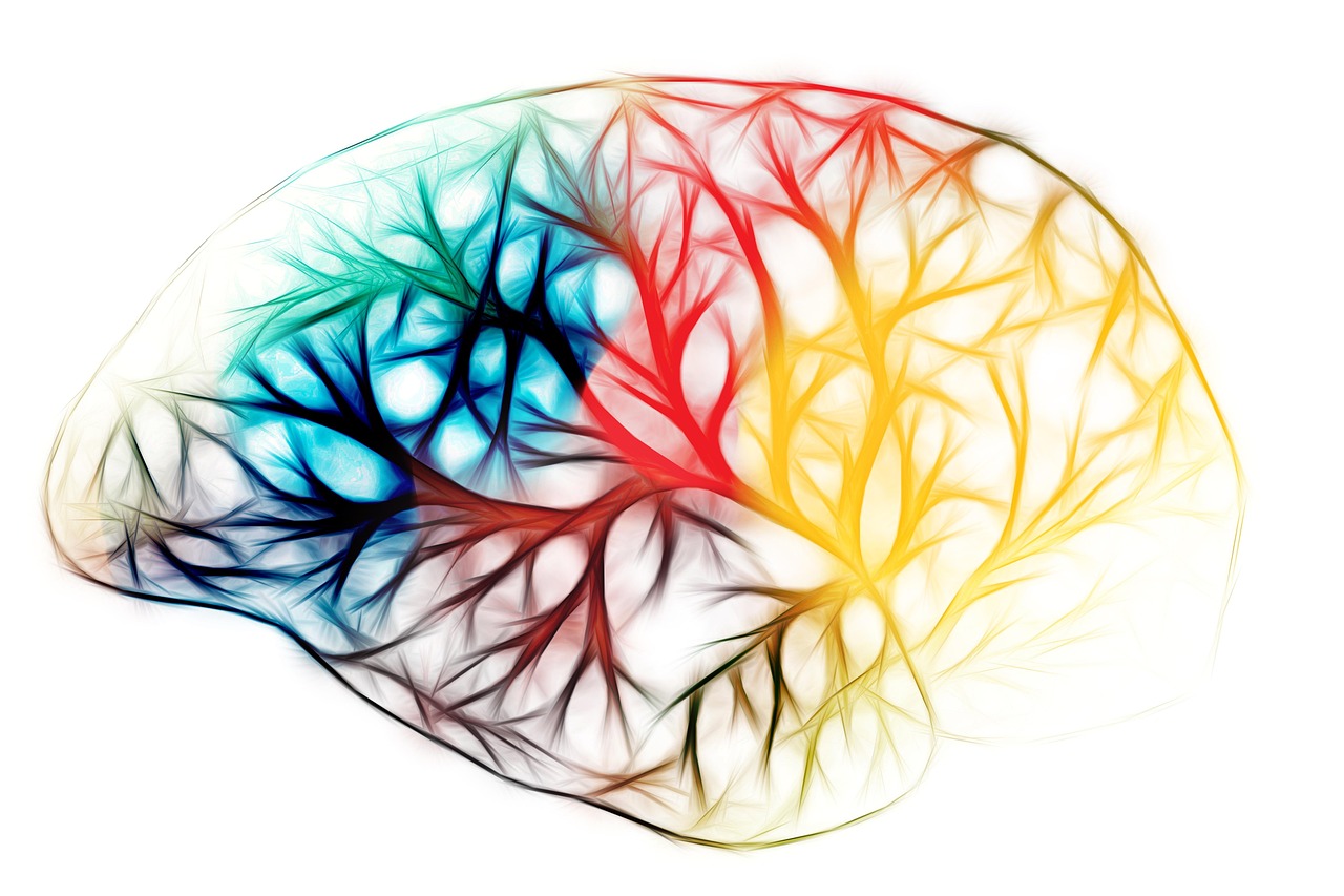 Brain Function Using Pinealon Peptide: Learn about the Benefits and Information by PracticeRX Concierge Doctors in the United States of American